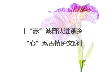 “赤”诚普法进茶乡 “心”系古镇护文脉