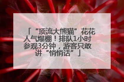 “顶流大熊猫”花花人气爆棚！排队1小时参观3分钟，游客只敢讲“悄悄话”