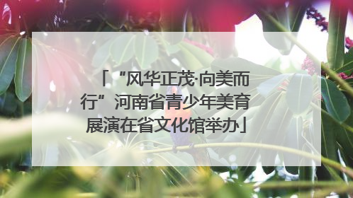 “风华正茂·向美而行”河南省青少年美育展演在省文化馆举办