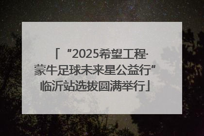 “2025希望工程·蒙牛足球未来星公益行”临沂站选拔圆满举行