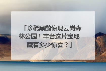珍稀黑鹳惊现云岗森林公园！丰台这片宝地藏着多少惊喜？