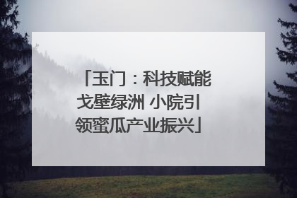 玉门：科技赋能戈壁绿洲 小院引领蜜瓜产业振兴