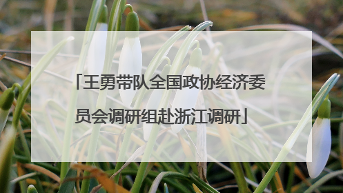 王勇带队全国政协经济委员会调研组赴浙江调研