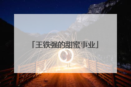 王铁强的甜蜜事业