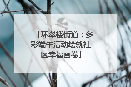 环翠楼街道：多彩端午活动绘就社区幸福画卷