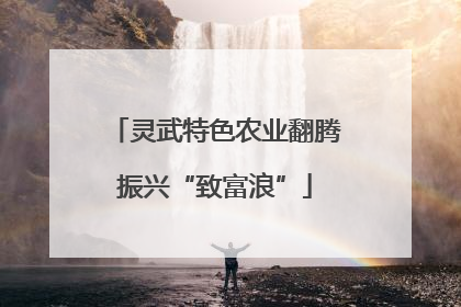 灵武特色农业翻腾振兴“致富浪”