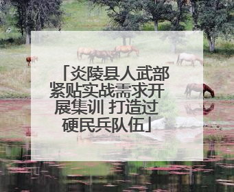 炎陵县人武部紧贴实战需求开展集训 打造过硬民兵队伍