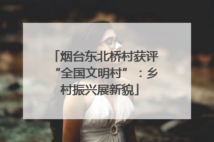 烟台东北桥村获评“全国文明村”：乡村振兴展新貌
