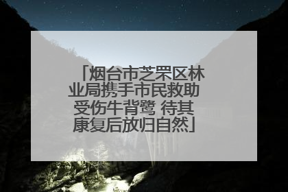 烟台市芝罘区林业局携手市民救助受伤牛背鹭 待其康复后放归自然
