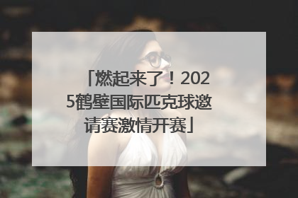 燃起来了！2025鹤壁国际匹克球邀请赛激情开赛