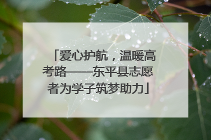 爱心护航，温暖高考路——东平县志愿者为学子筑梦助力
