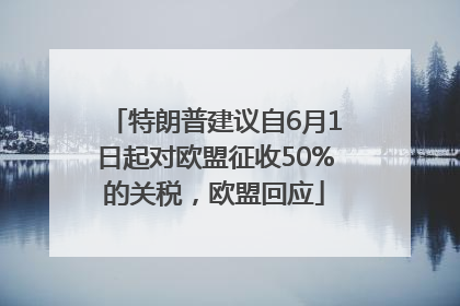 特朗普建议自6月1日起对欧盟征收50%的关税，欧盟回应