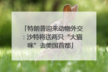 特朗普迎来动物外交：沙特将送两只“大猫咪”去美国首都