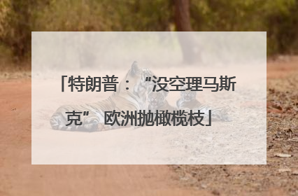 特朗普：“没空理马斯克” 欧洲抛橄榄枝