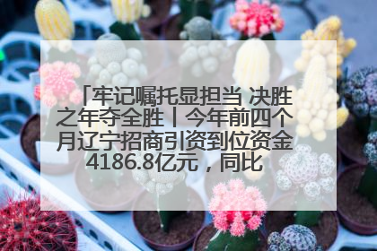牢记嘱托显担当 决胜之年夺全胜丨今年前四个月辽宁招商引资到位资金4186.8亿元，同比增长17.4%