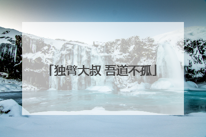 独臂大叔 吾道不孤