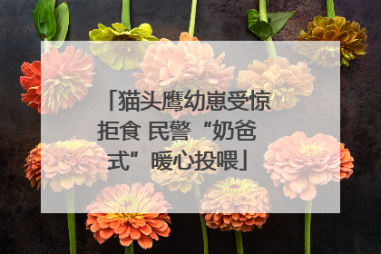 猫头鹰幼崽受惊拒食 民警“奶爸式”暖心投喂