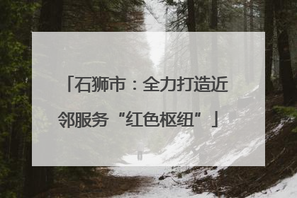 石狮市：全力打造近邻服务“红色枢纽”
