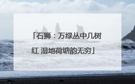 石狮：万绿丛中几树红 湿地荷塘韵无穷