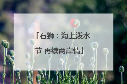 石狮：海上泼水节 再续两岸情
