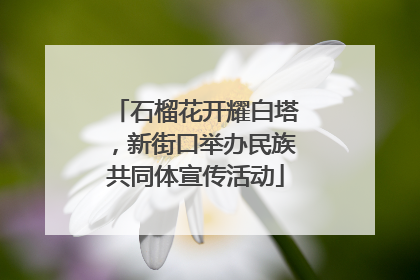 石榴花开耀白塔，新街口举办民族共同体宣传活动