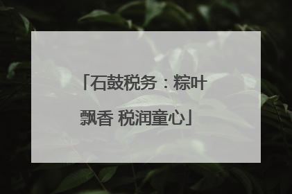 石鼓税务：粽叶飘香 税润童心