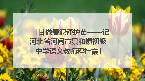 甘做春泥谨护苗——记河北省河间市景和镇初级中学语文教师程桂霞