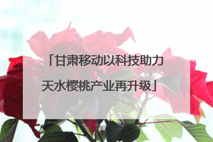 甘肃移动以科技助力天水樱桃产业再升级