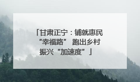 甘肃正宁：铺就惠民“幸福路” 跑出乡村振兴“加速度”