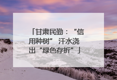 甘肃民勤：“信用种树” 汗水浇出“绿色存折”