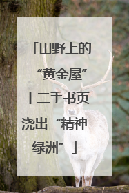 田野上的“黄金屋”丨二手书页浇出“精神绿洲”