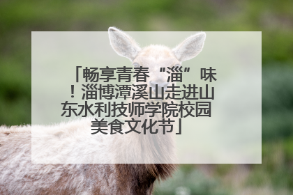 畅享青春“淄”味！淄博潭溪山走进山东水利技师学院校园美食文化节