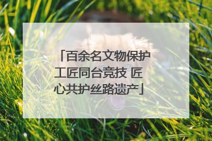 百余名文物保护工匠同台竞技 匠心共护丝路遗产