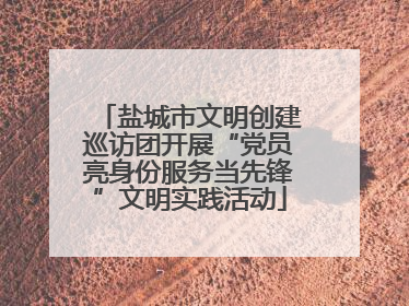盐城市文明创建巡访团开展“党员亮身份服务当先锋”文明实践活动