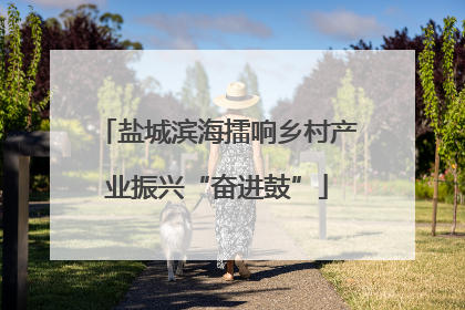 盐城滨海擂响乡村产业振兴“奋进鼓”