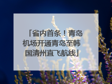 省内首条！青岛机场开通青岛至韩国清州直飞航线