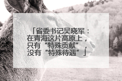 省委书记吴晓军：在青海这片高原上，只有“特殊贡献”，没有“特殊待遇”