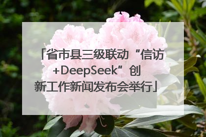 省市县三级联动“信访+DeepSeek”创新工作新闻发布会举行