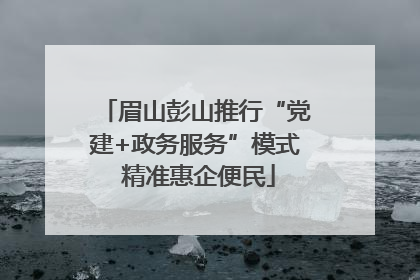 眉山彭山推行“党建+政务服务”模式 精准惠企便民