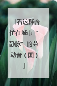 看这群奔忙在城市“静脉”的劳动者（图）