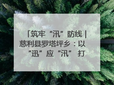 筑牢“汛”防线｜慈利县罗塔坪乡：以“迅”应“汛” 打赢暴雨防御战