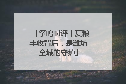 筝鸣时评丨夏粮丰收背后，是潍坊全城的守护