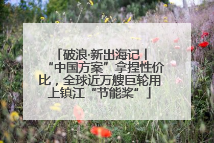 破浪·新出海记丨 “中国方案”拿捏性价比，全球近万艘巨轮用上镇江“节能桨”
