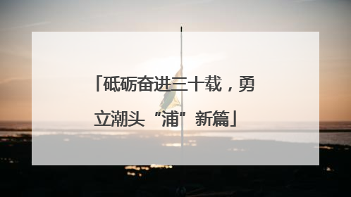 砥砺奋进三十载，勇立潮头“浦”新篇