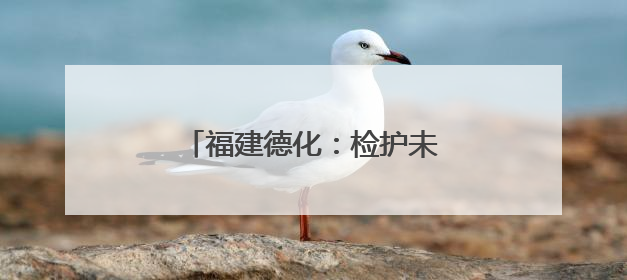 福建德化：检护未来，与法“童”在