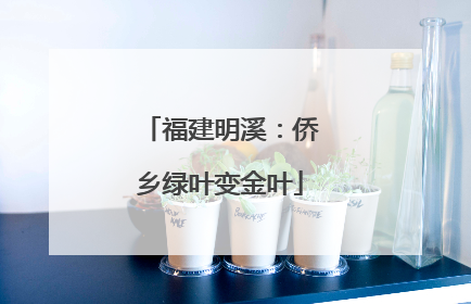 福建明溪：侨乡绿叶变金叶