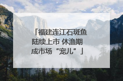 福建连江石斑鱼陆续上市 休渔期成市场“宠儿”