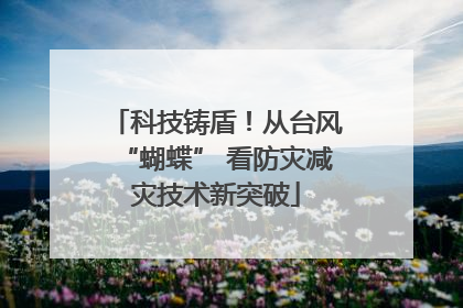 科技铸盾！从台风“蝴蝶” 看防灾减灾技术新突破