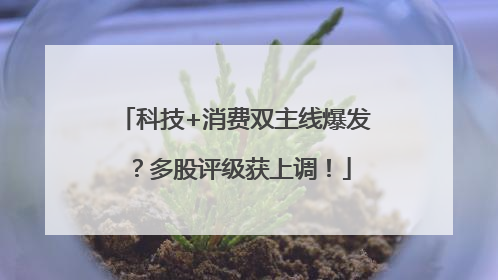 科技+消费双主线爆发？多股评级获上调！
