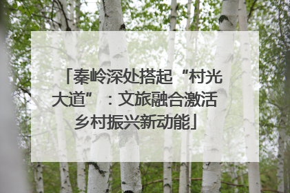 秦岭深处搭起“村光大道”：文旅融合激活乡村振兴新动能